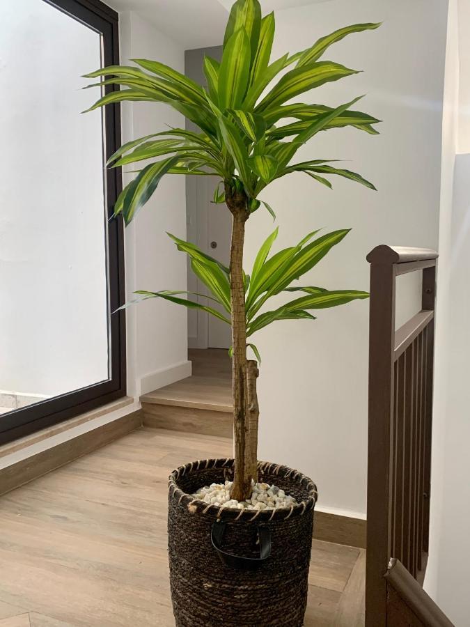 Puerta De Caceres Apartamento 2 Екстер'єр фото