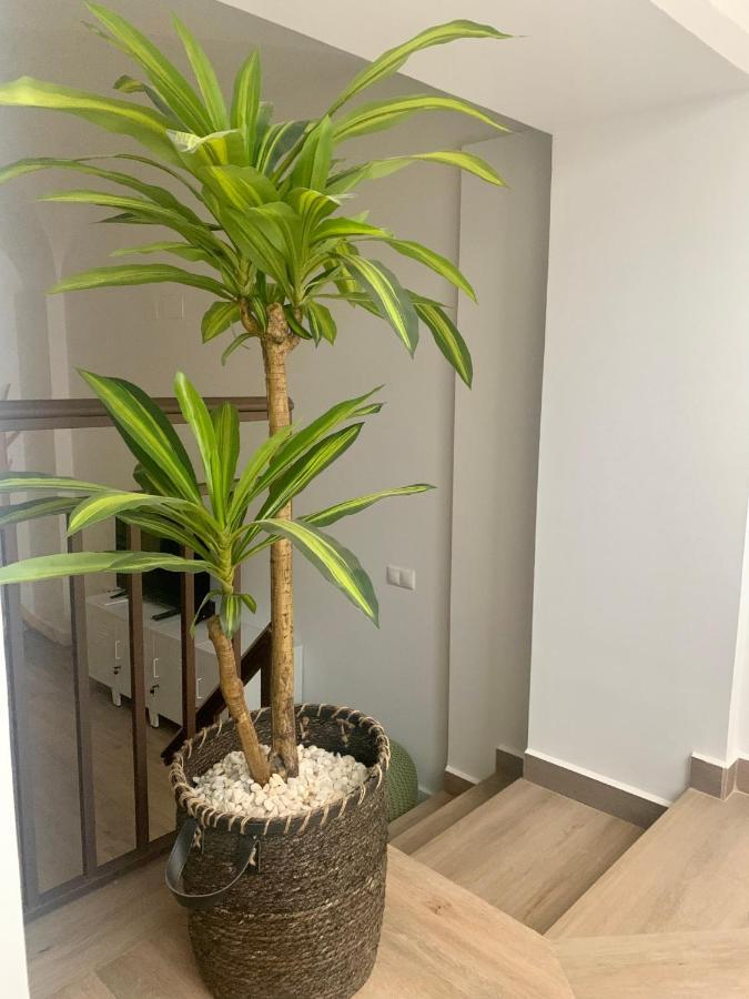 Puerta De Caceres Apartamento 2 Екстер'єр фото