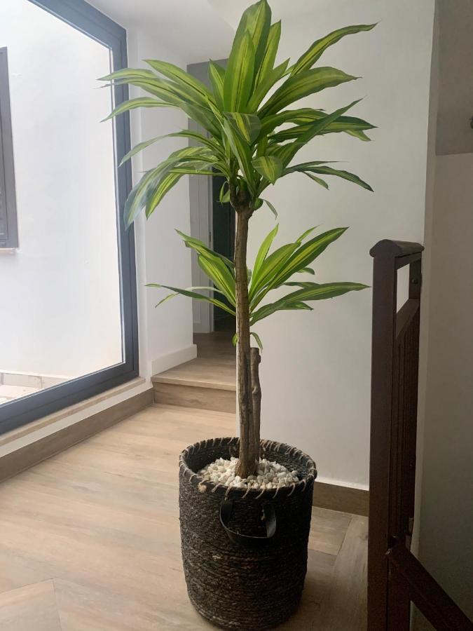 Puerta De Caceres Apartamento 2 Екстер'єр фото